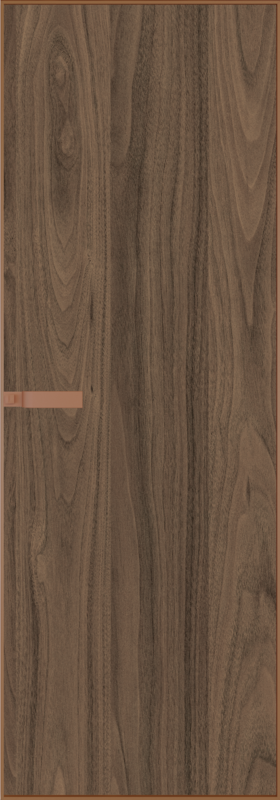Алюминиевая дверь Profil Doors 1AGN панель