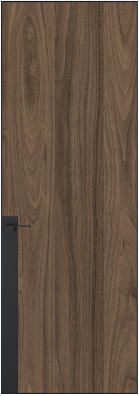 Алюминиевая дверь Profil Doors 2AGN АКП