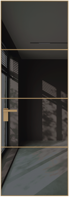 Алюминиевая дверь Profil Doors 5AGN ГЛЯНЕЦ