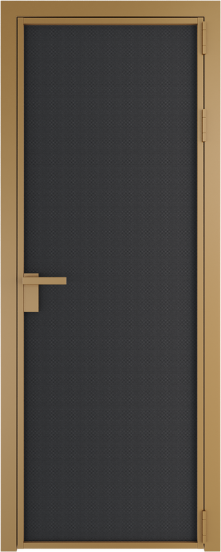 Алюминиевая дверь Profil Doors 1AP